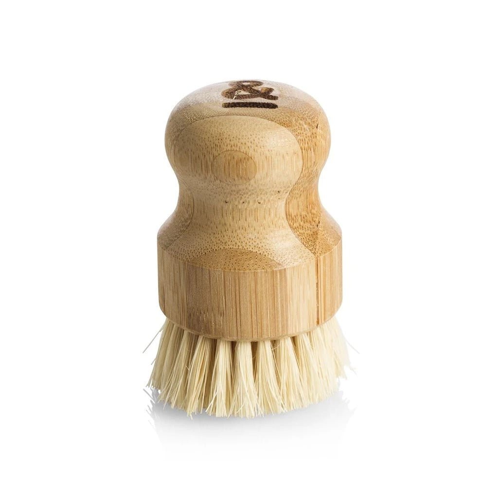 Seed & Sprout compact bamboo pot scrubber standing upright.