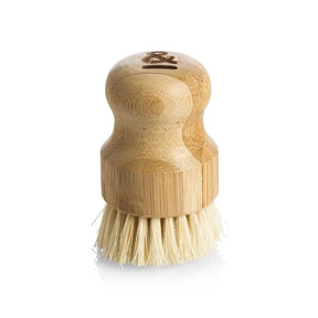 Seed & Sprout compact bamboo pot scrubber standing upright.