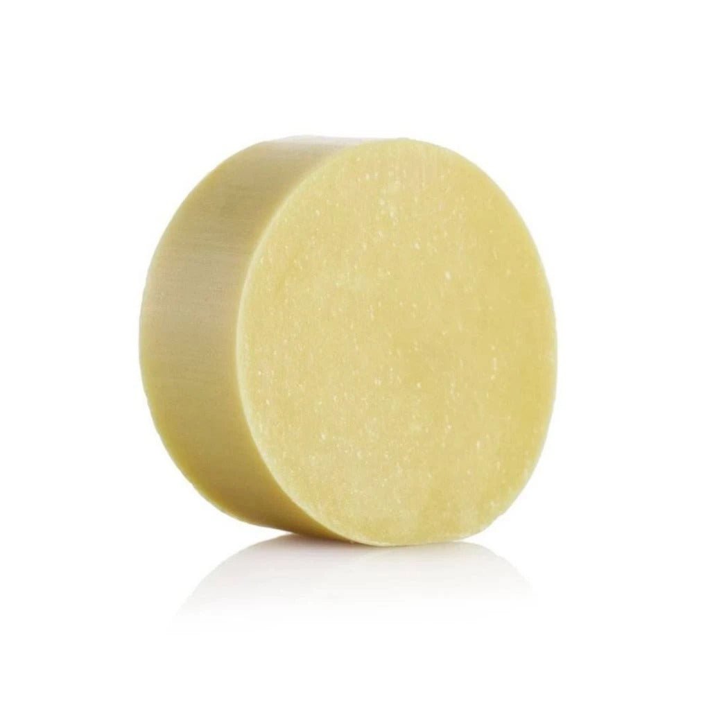 Seed & Sprout The Shampoo Bar Citrus & Mint, angled view.