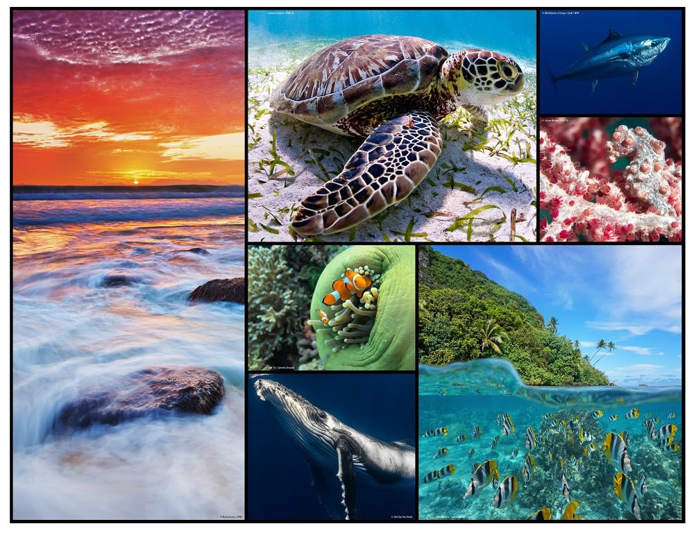 WWFWWF 48 Piece Floor Puzzle - Oceans #same day gift delivery melbourne#