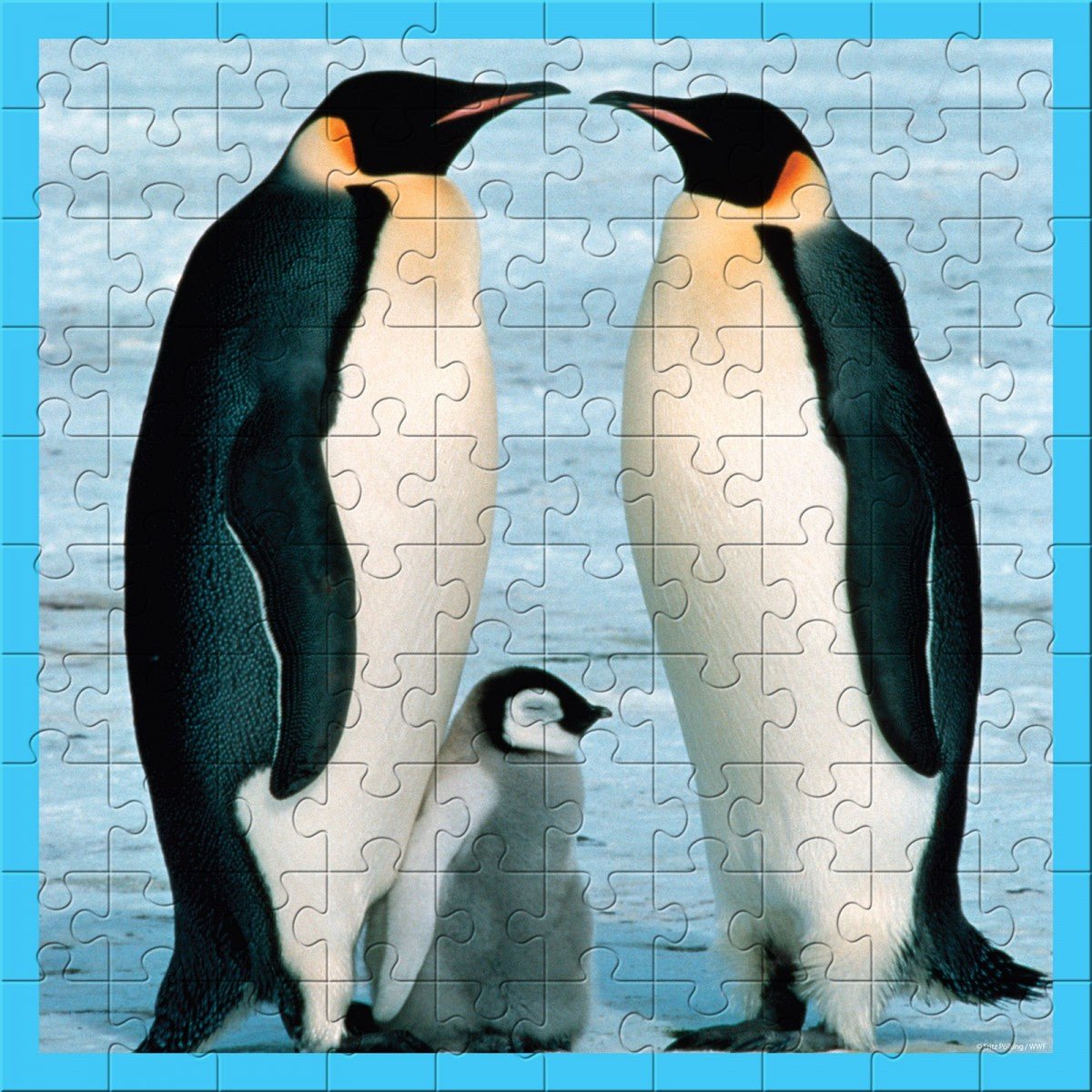 WWFWWF Penguin 100 Piece Puzzle #same day gift delivery melbourne#